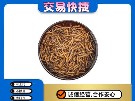 日喀则回收散虫草